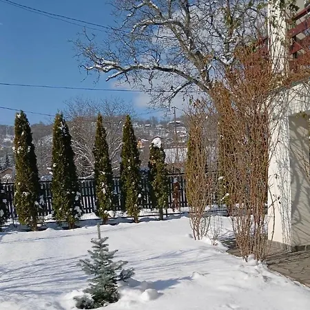 Bed & Breakfast Carpatina Breaza (Prahova)
