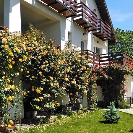 Bed & Breakfast Carpatina